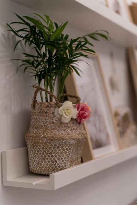 Porto Contemporary Apartment In City Center Dış mekan fotoğraf
