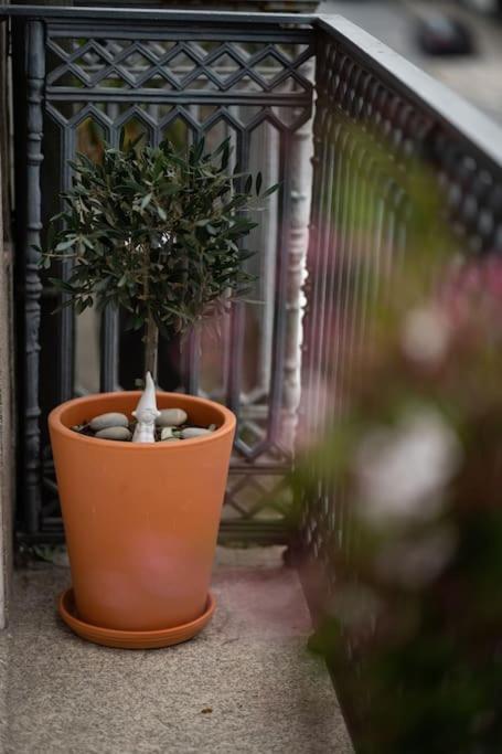 Porto Contemporary Apartment In City Center Dış mekan fotoğraf